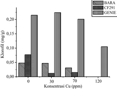 Gambar 4.5 Grafik Kandungan Klorofil pada Daun Tanaman C.  frustescens yang Tercekam Logam Berat Tembaga (Cu) 