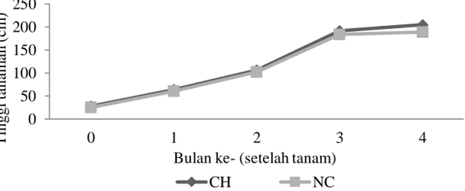 Gambar 2. Grafik pertumbuhan tanaman cabai Yuni-IPB  Tabel 2. Pertumbuhan tanaman dan produktivitas pada masing-masing perlakuan 