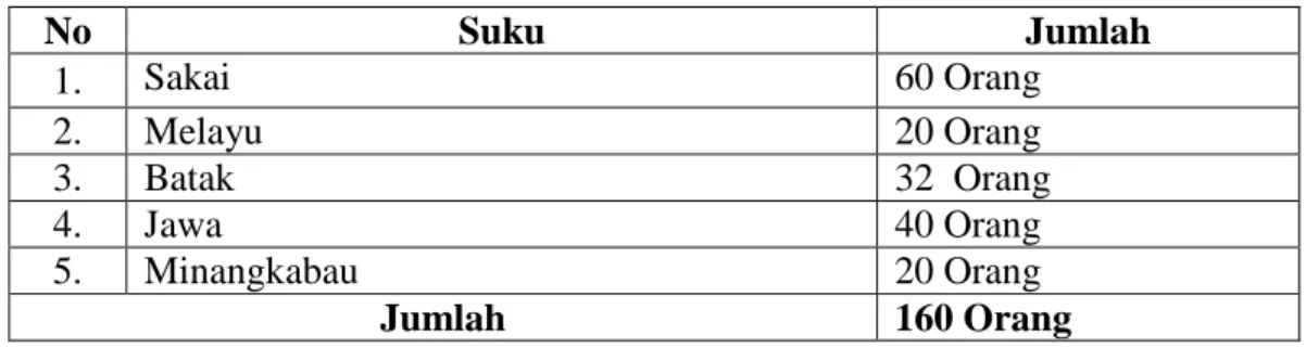 Tabel 4.1   Klasifikasi Penduduk Dusun Suluk Bongkal Berdasarkan Suku 
