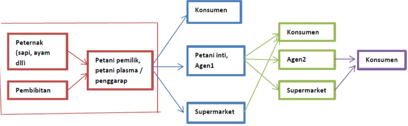 Gambar 4  Value Chain dalam pertanian dan perdagangan produk organik 