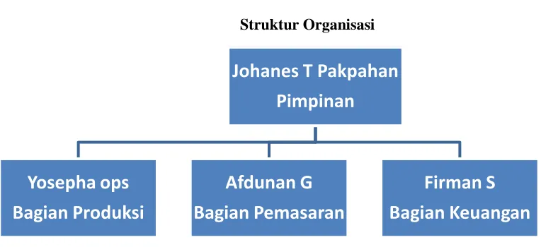 Gambar 1.1 Struktur Organisasi 