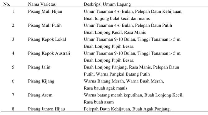 Tabel 2. Deskripsi umum vareitas pisang hasil eksplorasi  No.  Nama Varietas  Deskripsi Umum Lapang 