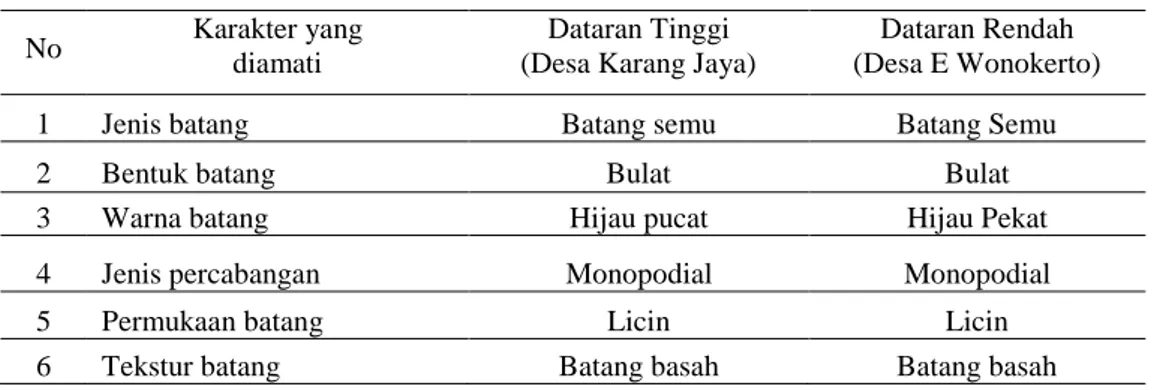 Tabel 4. Karakter Kuantitatif Morfologi Batang Semu Jahe  