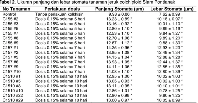 Tabel 2. Ukuran panjang dan lebar stomata tanaman jeruk colchiploid Siam Pontianak 