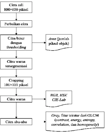 Gambar 5. Diagram alir program pengolahan citra. 