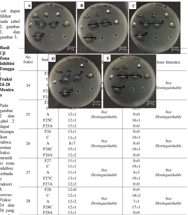 Tabel 2.Rerata (Tiga Kali Pengulangan) Hasil Pengukuran Zona Inhibisi Tunggal dan Kombinasi Fraksi  Meniran dengan Amoksisilin atau Kloramfenikol terhadap Bakteri S.aureus dan E