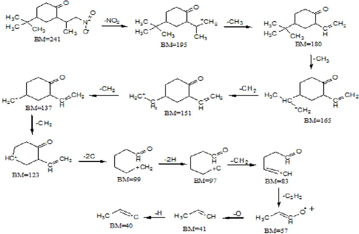 Gambar 5. Perkiraan mekanisme fragmentasi    4-tert-butil-2-(1-metil-2-nitro-etil) sikloheksanon  