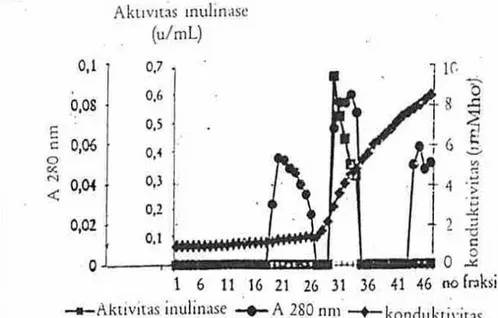 Gambar 3. Hasil kromatografi kolom penukar anion DEAE-selulosa (20 × 1,6 cm). Sampel dari fraksi filtrasi  gel Sephadex G-25 yang memiliki aktivitas enzim inulinase (fraksi 17-31}