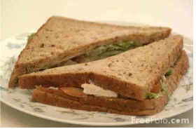 Gambar 2.5 : Sandwich 