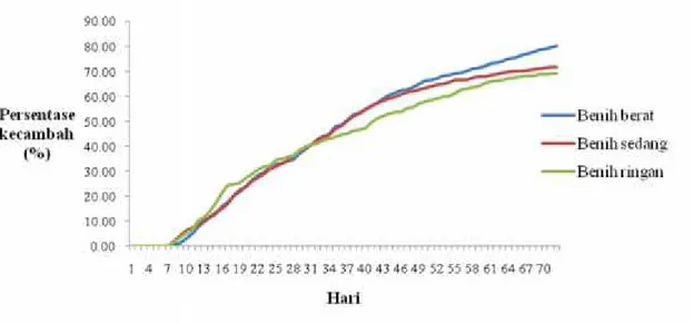 Gambar 1. Grafik perkecambahan harian benih merbau darat (Intsia palembanica). Berdasarkan grafik perkecambahan harian (Gambar 1.), dapat dilihat pada akhir pengamatan jumlah benih yang berkecambah untuk benih berat mencapai 80, 25%, benih sedang mencapai 