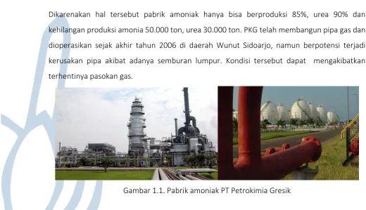 Gambar 1.1. Pabrik amoniak PT Petrokimia Gresik 