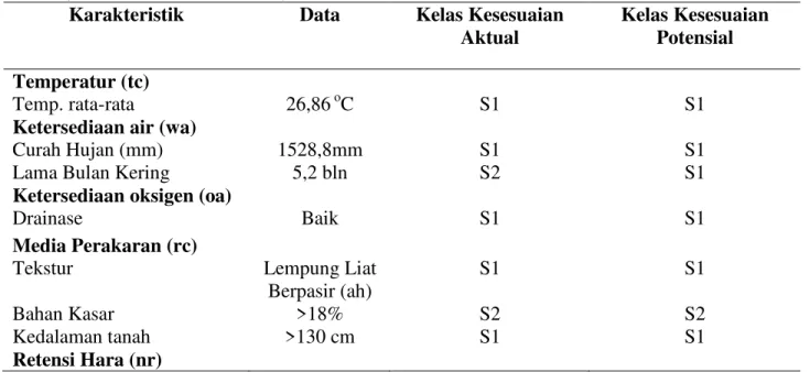 Tabel 1. Kesesuaian Lahan Satuan Peta Tanah (SPT) 1 untuk Tanaman Ubi Kayu  (Manihot esculenta  Crant.)