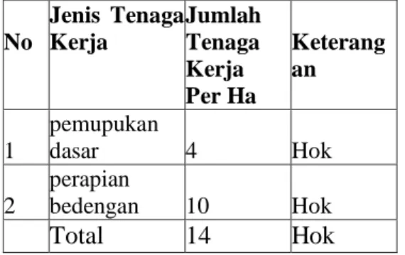 Tabel  4.4  Penggunaan  Tenaga  Kerja  Pada  Pemasangan  Mulsa  Per  Ha  Usahatani  Tomat  Di  Desa  Parsanga  Kecamatan Kota Kabupaten Sumenep 