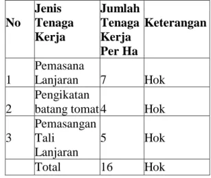 Tabel  4.5  Penggunaan  Tenaga    Kerja  Pada  Penanaman  Per  Ha  Usahatani  Tomat  Di  Desa  Parsanga  Kecamatan  Kota Kabupaten Sumenep 