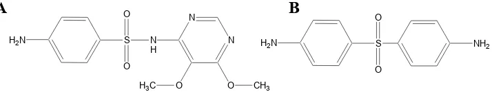 Gambar 10. A) sulfadoksin ; B) dapson 
