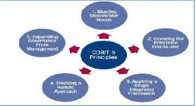 Gambar 1. COBIT 5 Principles