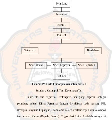 Gambar IV.1. Struktur organisasi kelompok tani 