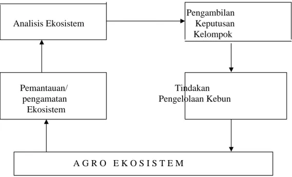 Gambar 1. Proses pengambilan keputusan pengendalian hama di tingkat lapangan/petani (sumber: Untung,  1997) 