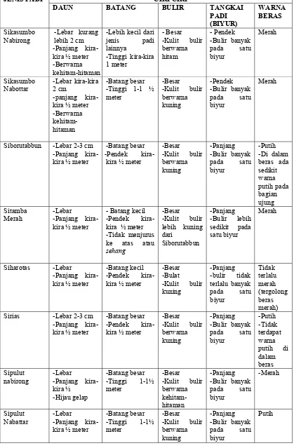 Tabel 2.2. Jenis padi yang masih di pertahankan di Pangaribuan  