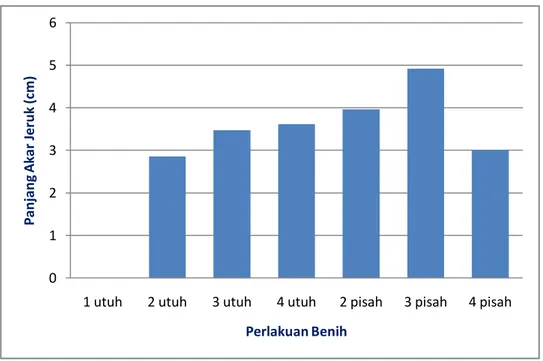 Gambar  4.  Grafik  panjang  akar  bibit  jeruk  yang  berkecambah  pada  berbagai  perlakuan  00.511.522.53