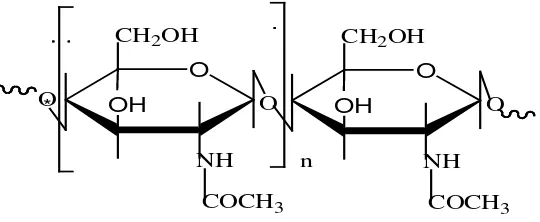 Gambar 2.1 Struktur kitin 