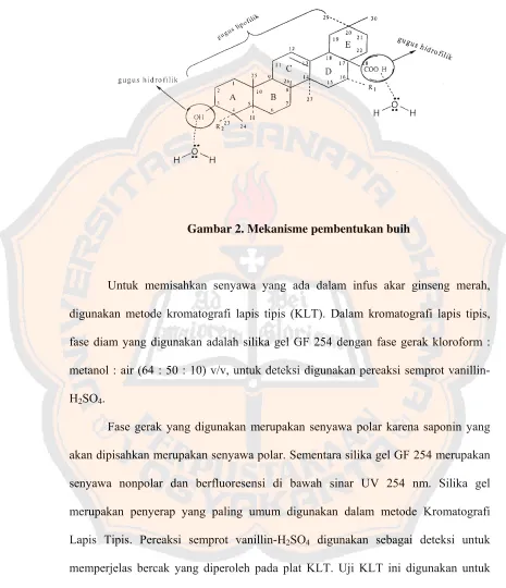 Gambar 2. Mekanisme pembentukan buih 