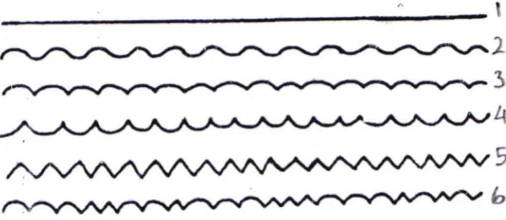 Gambar 1. Bentuk tepi petal anyelir menurut standard UPOV (UPOV, 1990)                    Nama bentuk tepi petal adalah sebagai berikut, sesuai urutan nomor: 