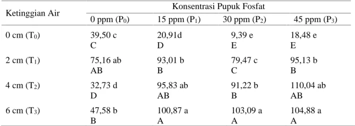 Tabel 2. Pengaruh Ketinggian Air dan Konsentrasi Pupuk Fosfat terhadap Bobot Basah (g)