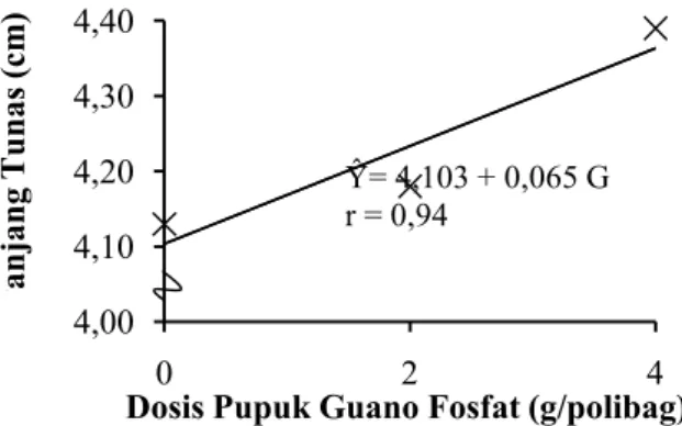 Gambar 2. Pengaruh Pupuk Guano Fosfat Terhadap Panjang Tunas (cm) 