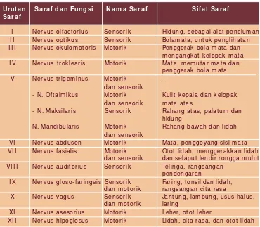 Tabel 3 .1  Sifat dan Fungsi Saraf Otak