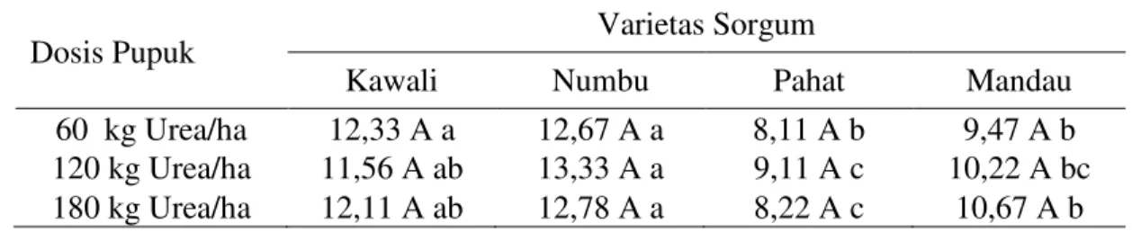 Tabel  2.    Rata-rata  jumlah  ruas  per  tanaman  (ruas)  berbagai  varietas  sorgum  dengan pemberian pupuk  Urea