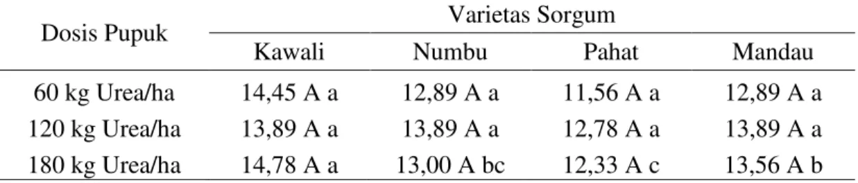Tabel  5.  Rata-rata  jumlah  daun  (helai)  berbagai  varietas  sorgum  dengan    pemberian pupuk  Urea