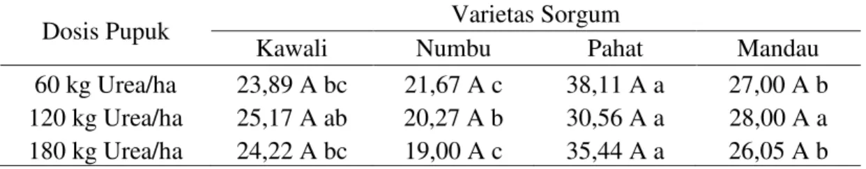 Tabel  6.    Rata-rata  panjang  malai  (cm)  berbagai  varietas  sorgum  dengan  pemberian pupuk  Urea