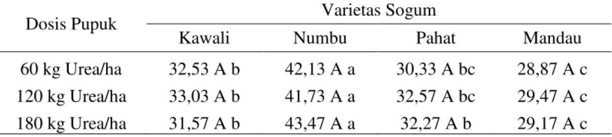 Tabel 8. Rata-rata berat 1000 biji (g) berbagai varietas sorgum dengan pemberian  pupuk  Urea