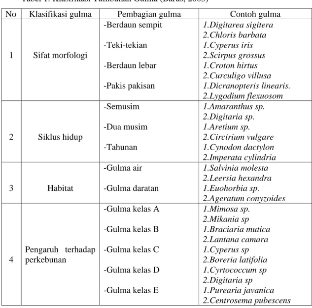 Tabel 1. Klasifikasi Tumbuhan Gulma (Barus, 2003) 
