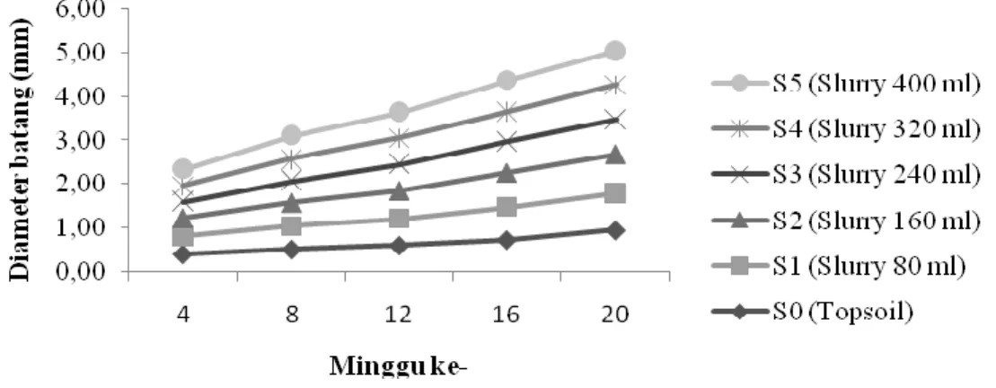 Gambar 3. Pertumbuhan diameter batang kakao dengan berbagai perlakuan dosis slurry 