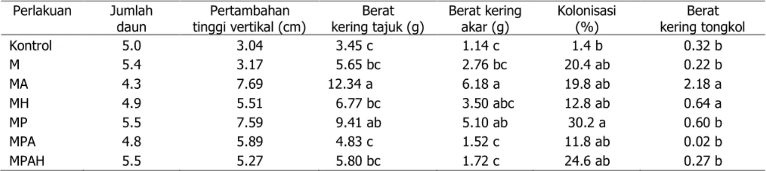 Tabel 2. Pengaruh  perlakuan  terhadap  jumlah  daun,  pertambahan  tinggi  vertikal,  berat  kering  tajuk,  berat  kering  akar,  kolonisasi dan berat kering tongkol  tanaman jagung pada tailing tambang emas 