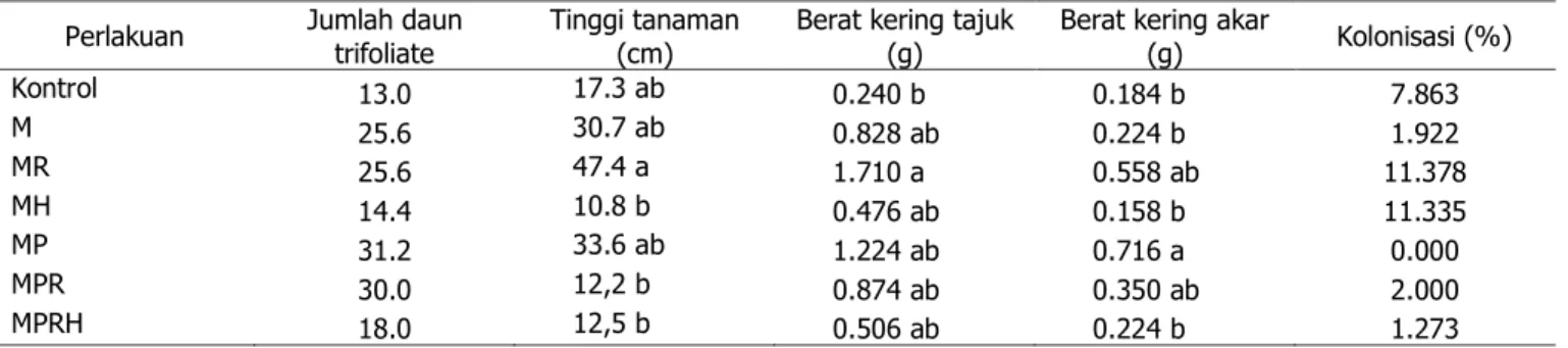 Tabel 5. Pengaruh perlakuan terhadap jumlah daun, tinggi vertikal, berat kering tajuk pada  Pueraria phaseoloides  pada tailing tambang emas 