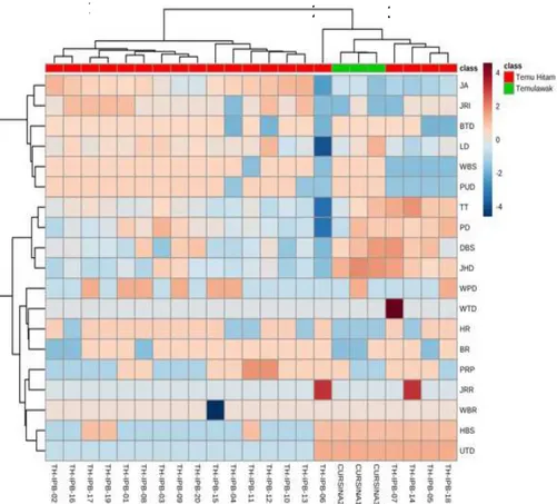 Gambar  3. Heatmap  analisis kluster hirarki pada 20 genotipe  temu hitam dan 3 varietas temulawak serta  karakter agro-morfologinya