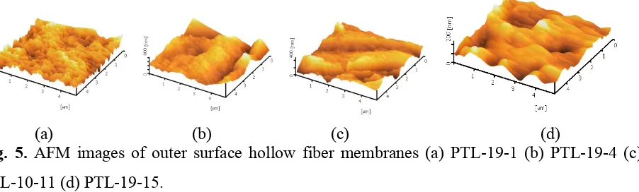 Fig. 5. AFM images of outer surface hollow fiber membranes (a) PTL-19-1 (b) PTL-19-4 (c)