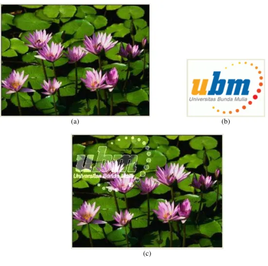 Gambar 2. Contoh Proses Watermark pada citra berwarna Gambar 2.a. Citra yang akan diwatermark