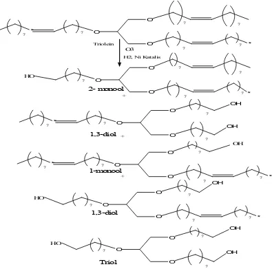 Gambar 2.14. Pembentukan Poliol dari Trigliserida melalui Ozonolisis                                Diikuti      Hidrogenasi  (Contoh : Gliserol Trioleat/Triolein) 