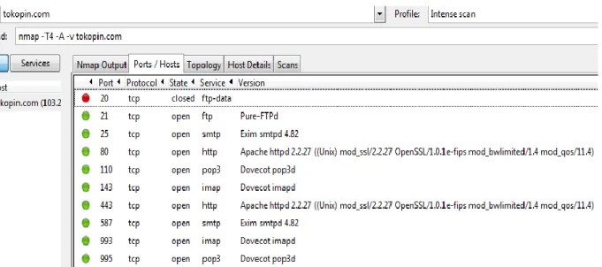 Gambar 1.1 Tampilan hasil scanning open port dan deamon (service) 