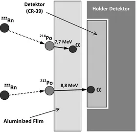 Gambar 2. Ilustrasi detektor pasif untuk pengukuran anak luruh thoron (27). 