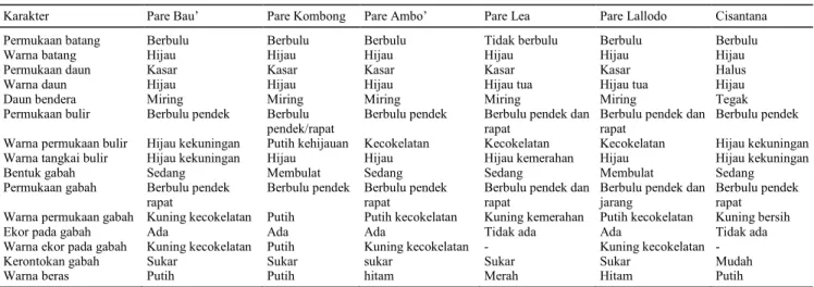 Tabel  1  menunjukkan  bahwa  karakter  kuali- kuali-tatif  yang  membedakan  genotipe  lokal  yang  diuji 