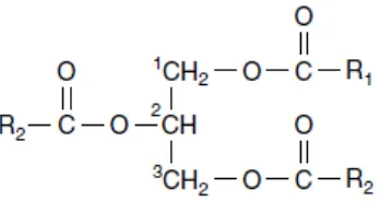 Gambar 2.1. Rumus Kimia Trigliserid 