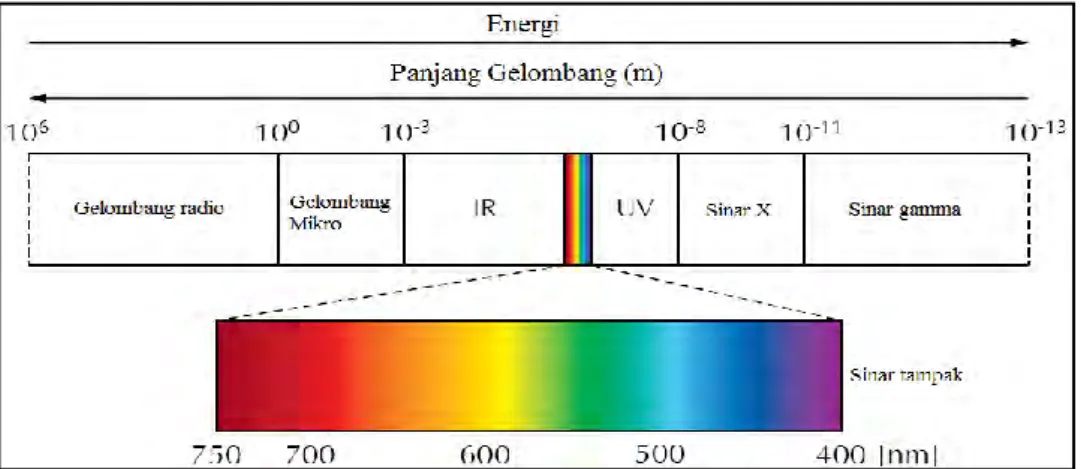 Gambar 2.2. Spektrum elektromagnetik (Hill, 2009)
