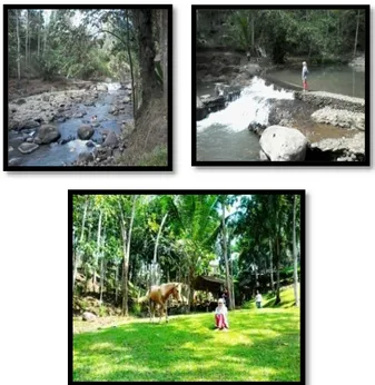Gambar 1. Lokasi Penelitian di Kawasan Taman  Wisata Alam Wira Garden 