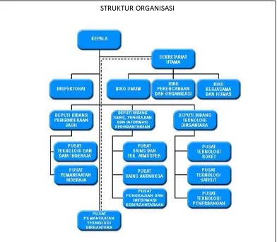 Gambar : 3.2 struktur organisasi PSTA Lapan. 