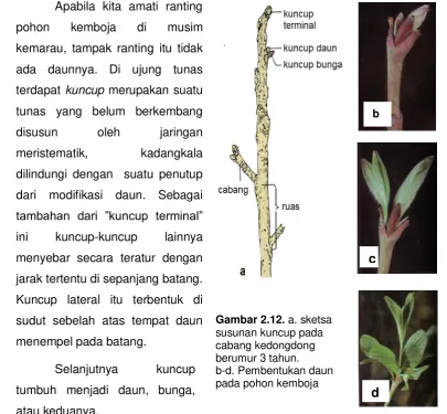 Gambar 2.12. a. sketsa 